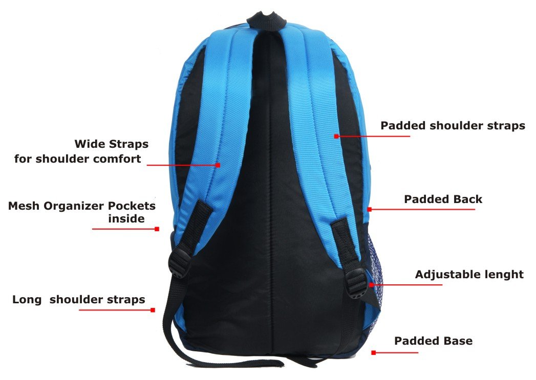 POLE STAR Hero Polyester 32L Sky & Navy Blue Casual Backpack
