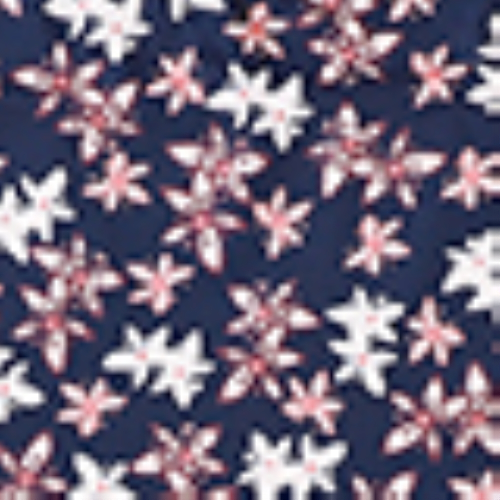 Women Summer Print Two Piece Shorts Pajama Set