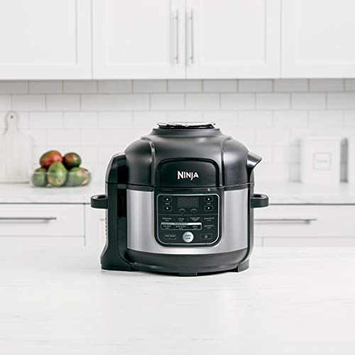 Foodi 10-in-1 Pressure Cooker and Air Fryer with Nesting Broil Rack