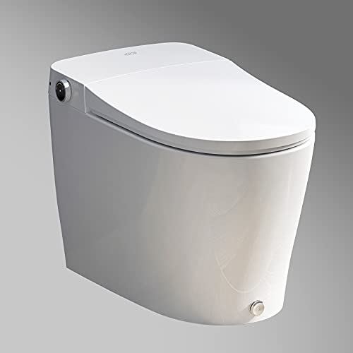 Power Flush One Piece Toilets with Bidet Built in,Heated Bidets Seat