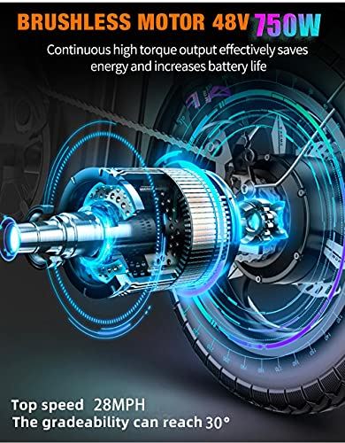 Electric Mountain Bike, 4.0 Fat Tire E-Bike with 48V 14.5ah Lithium Battery