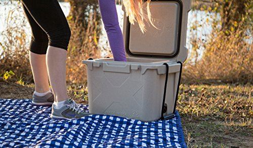 BISON COOLERS 25 Quart Small Rotomolded Cooler Box with Hard Shell, Lid and Liner