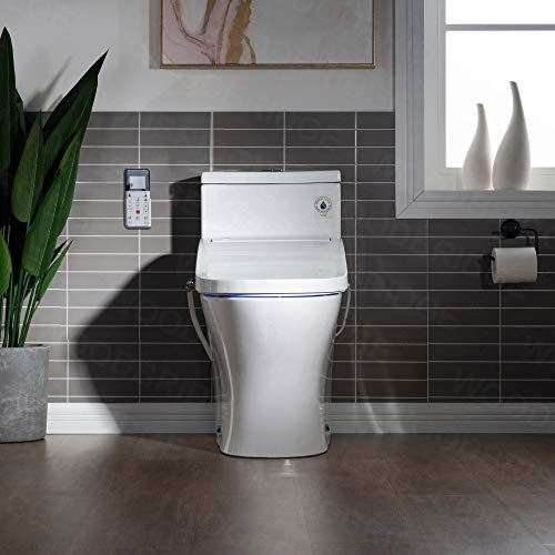 Dual Flush Elongated Toilet with Advance Smart Washlet Bidet in White