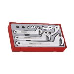 Teng Tools – 8 Piece Wrench Hook and Pin Wrench Set -TTHP08
