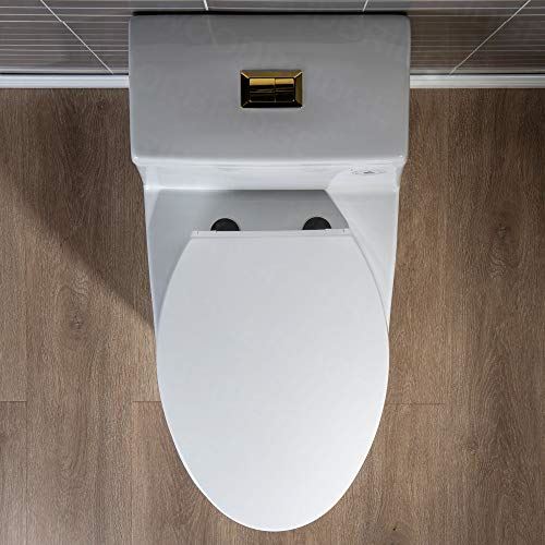 T-0001-BG Toilet, with Brushed Gold Button