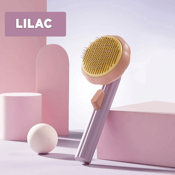 ????Pumpkin Pet Comb