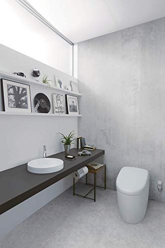 Toilet with Intergeated Bidet Seat and EWATER Beige-MS988CUMFG
