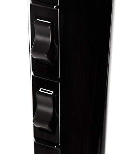 Light 1875 Watt Quick Dry Professional Salon Blow Dryer, Black