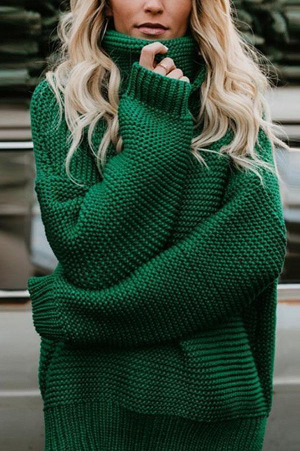 Turtle Neck  Plain Casual  Sweaters