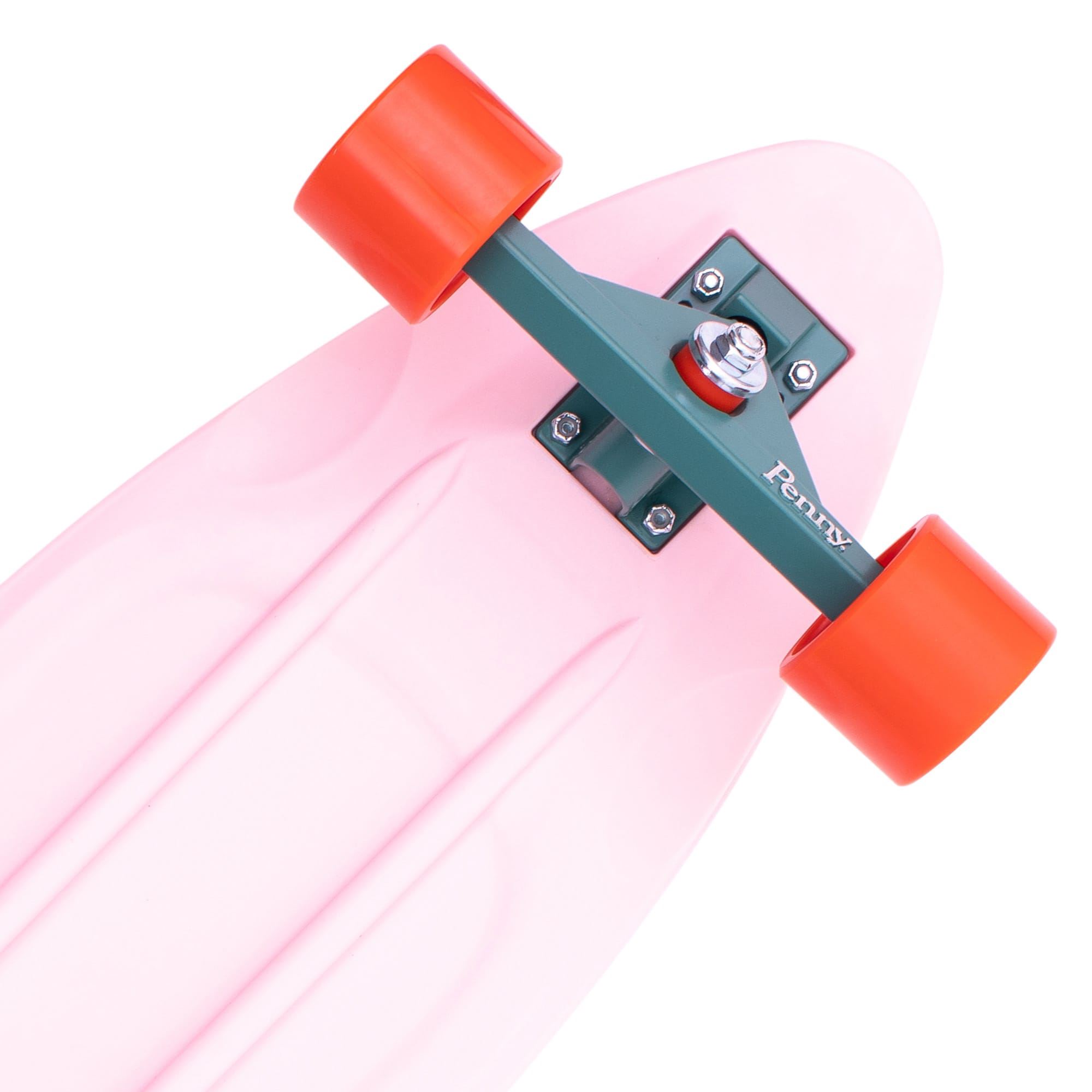 Cactus Wanderlust 36���