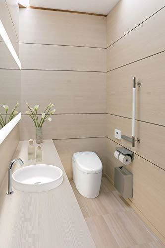 Toilet with Intergeated Bidet Seat and EWATER Beige-MS988CUMFG