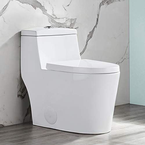 Flush Elongated One-Piece Toilet with Soft Closing Seat, High-Efficiency