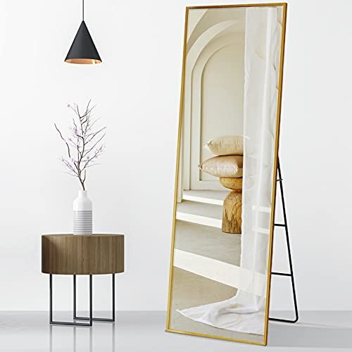 Free-Stand or Wall-Mounted Full body Mirror with Aluminum Frame for Home/65��22��
