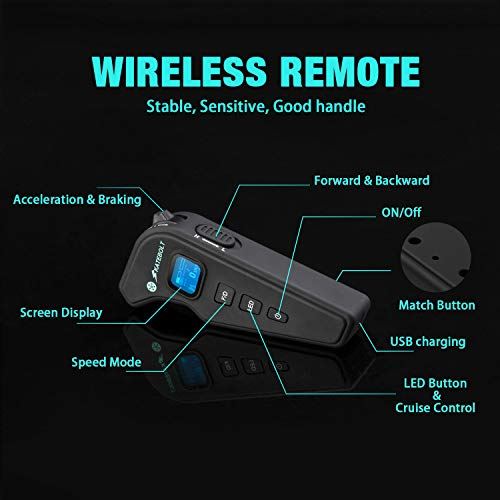 SKATEBOLT Electric Skateboard Longboard with Remote Controller, 25 MPH Top Speed