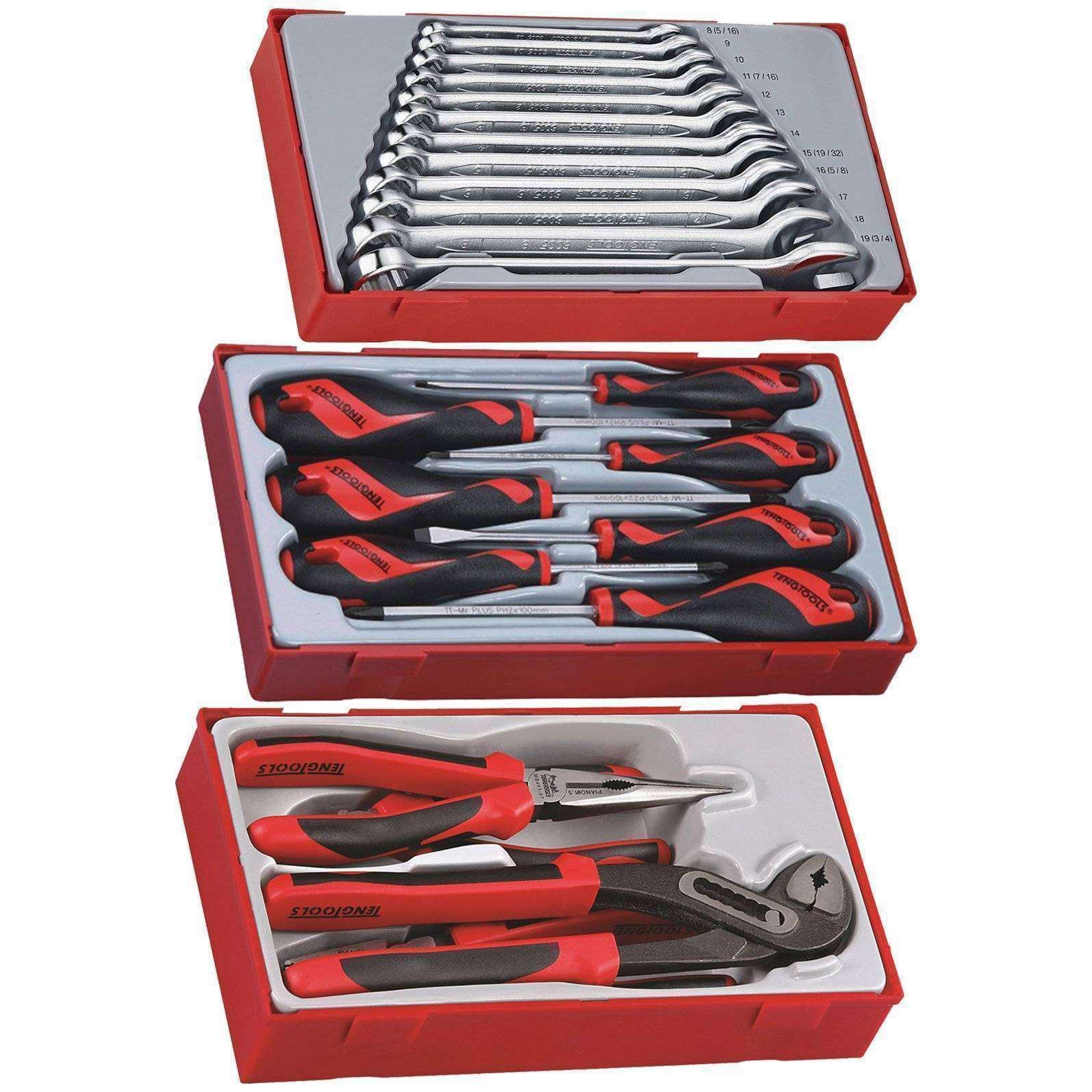 Teng Tools – 23 Piece Combination Wrench, Mega Bite Pliers And Screwdriver Set – TT1236