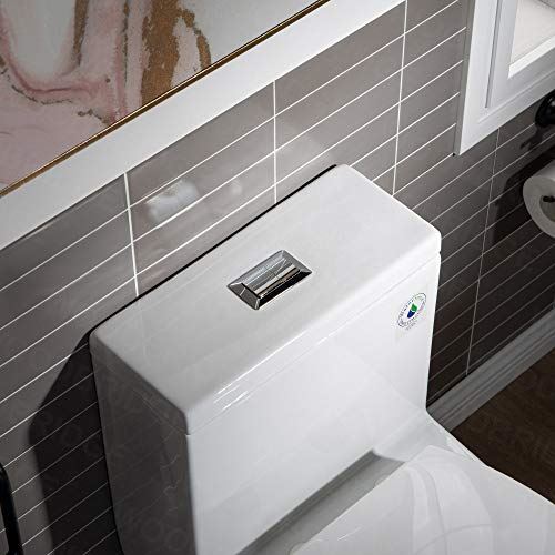 Dual Flush Elongated Toilet with Advance Smart Washlet Bidet in White