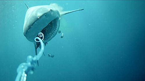 GoFish Cam Wireless Underwater Fishing Camera, Black