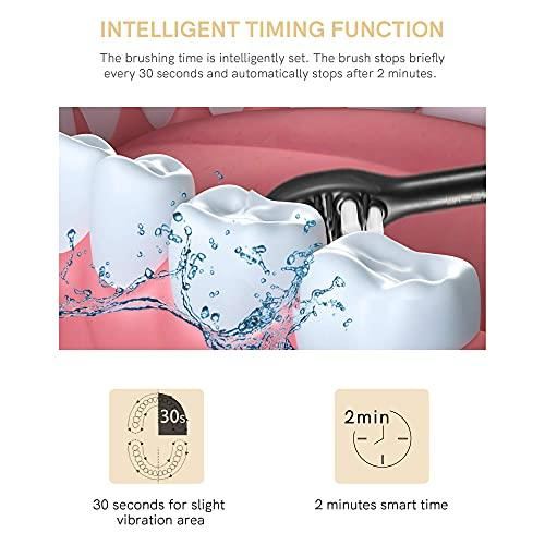 Brush Heads with Dupont Bristles, 1 Travel Case, 1 Dental Floss, 2 Minute Timer