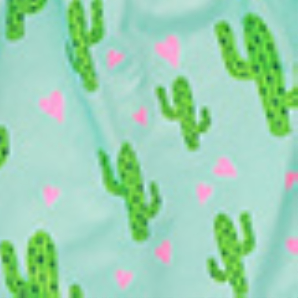 Women Summer Print Two Piece Shorts Pajama Set