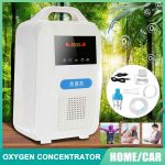 1L/min Oxygen Portable Air Purifier Low Noise Oxygen Generator For Car And Home