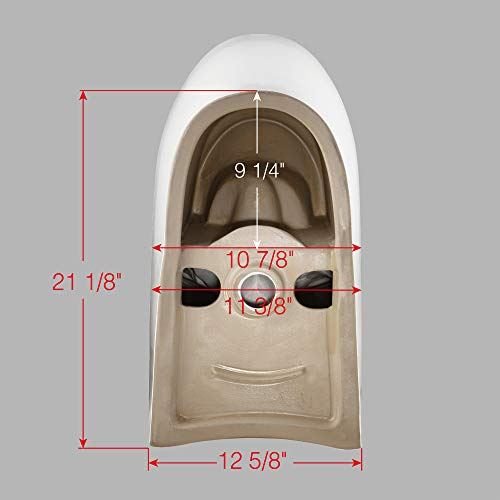 Dual Flush Elongated Toilet with Advance Smart Washlet Bidet in White