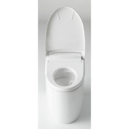 Toilet with Intergeated Bidet Seat and EWATER White-MS988CUMFG