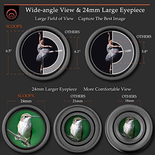 10��42 Ultra HD Binoculars with Phone Adapter and Harness