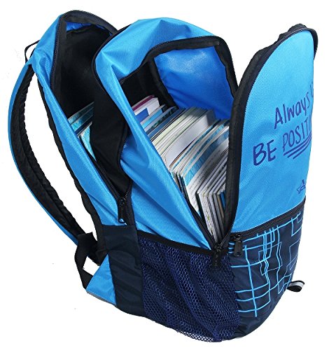 POLE STAR Hero Polyester 32L Sky & Navy Blue Casual Backpack