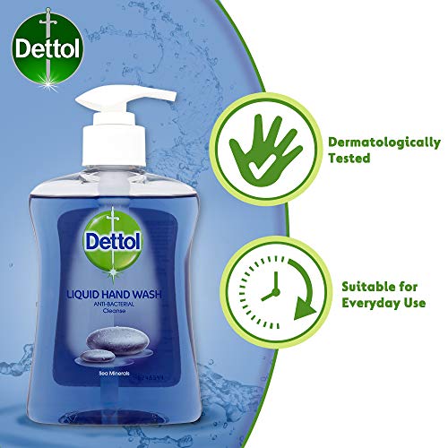 Dettol 洗手液(海洋矿物质)