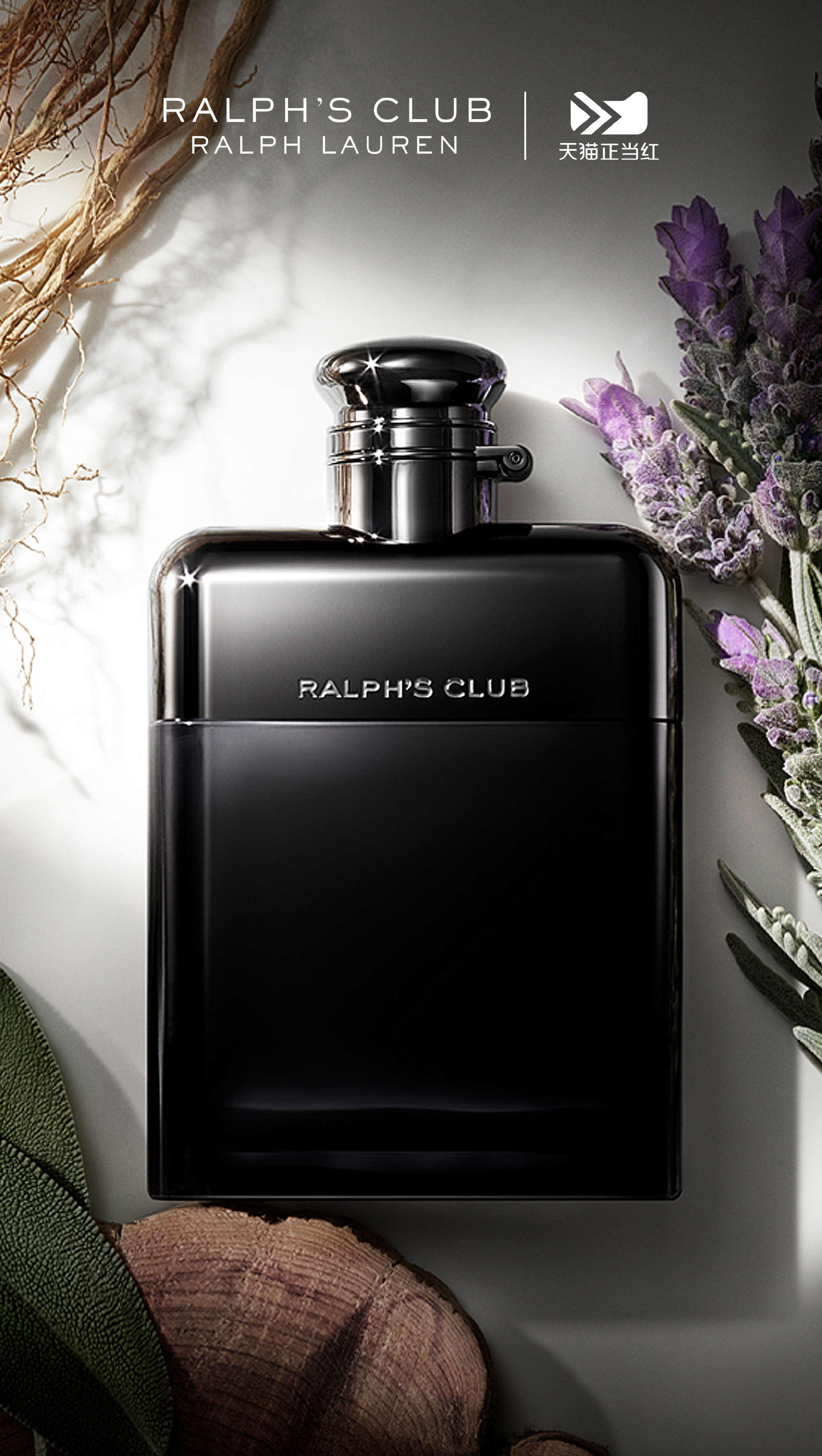 SVG1🎄今天是好天气