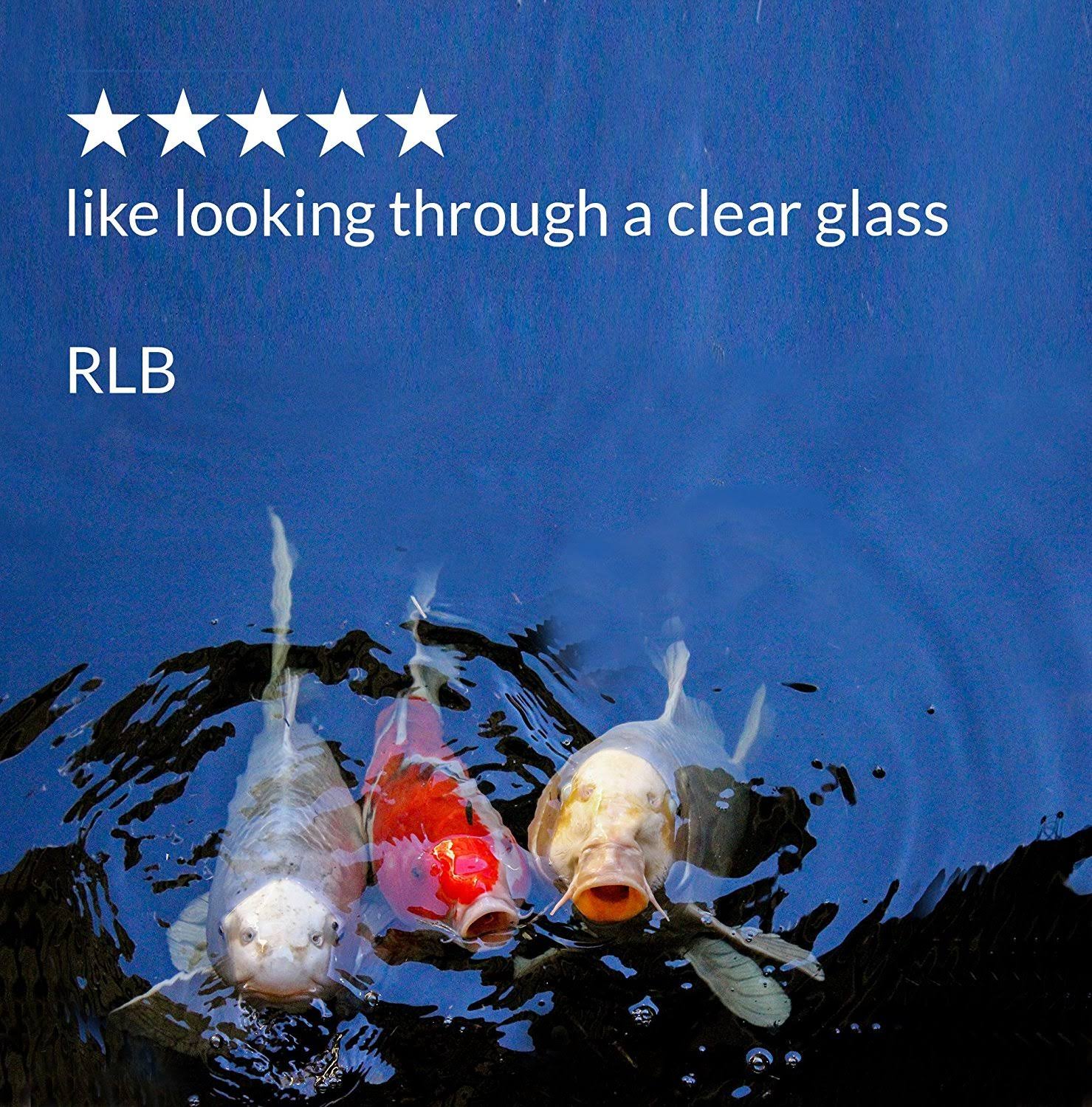 API Pond Accu-Clear Pond Water Clarifier 64 oz