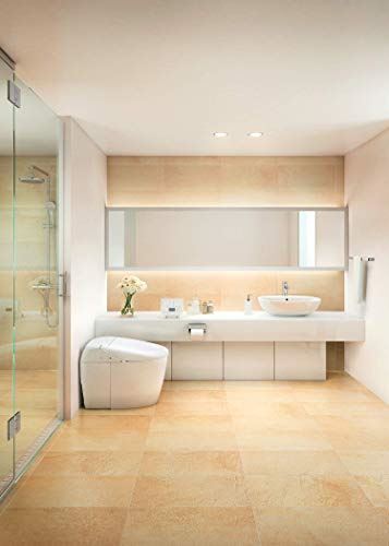 Toilet with Intergeated Bidet Seat and EWATER Beige-MS988CUMFG