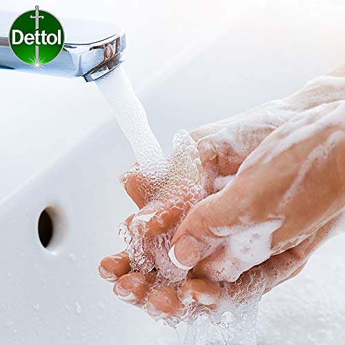 Dettol 洗手液(海洋矿物质)