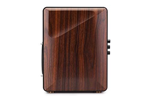 S3000Pro Active Wireless Bluetooth Speaker with USB Audio and 6.5′′ Woofers