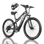 Electric Mountain Bike, E-Bike Moped with 48V 13ah Lithium Battery