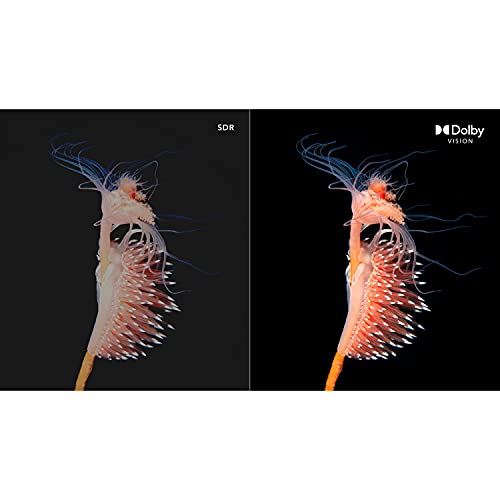 65-Inch LED HDR Smart TV w/Apple AirPlay 2 & Chromecast Built-in