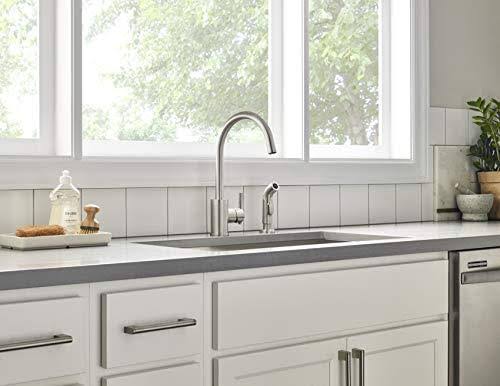 Danze D401058SS Parma Single Handle Kitchen Faucet with Spray, Stainless Steel