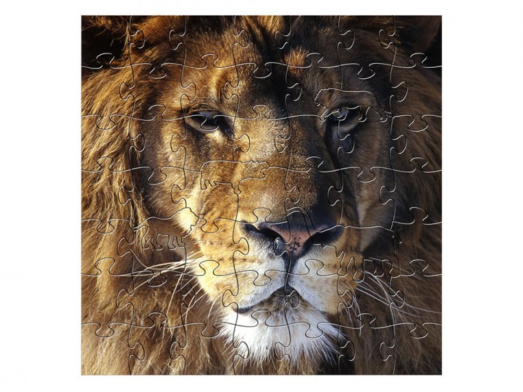 Children's Wooden Jigsaw Puzzle