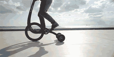 Copy Off the Shoulder Zebra Long Sleeve Shirt