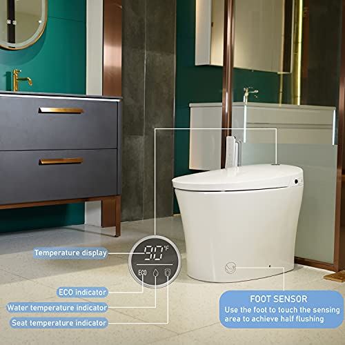Control, Modern Toilets One Piece with Temperature Controlled Wash