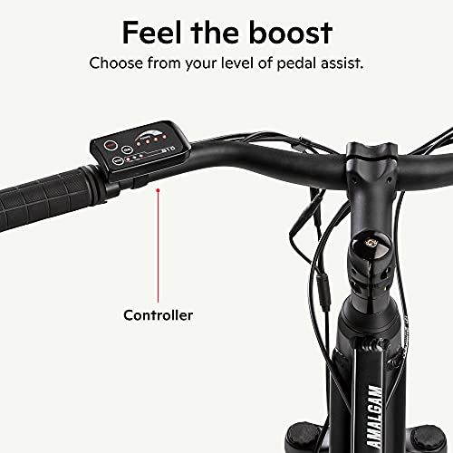 Schwinn Amalgam Adult Electric Bike, 18.5-Inch Hybrid Aluminum Frame