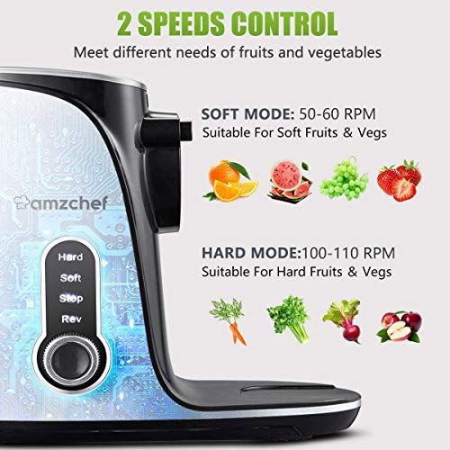 Cold Press Juicer with Two Speed Modes, 2 Travel bottles(500ML)