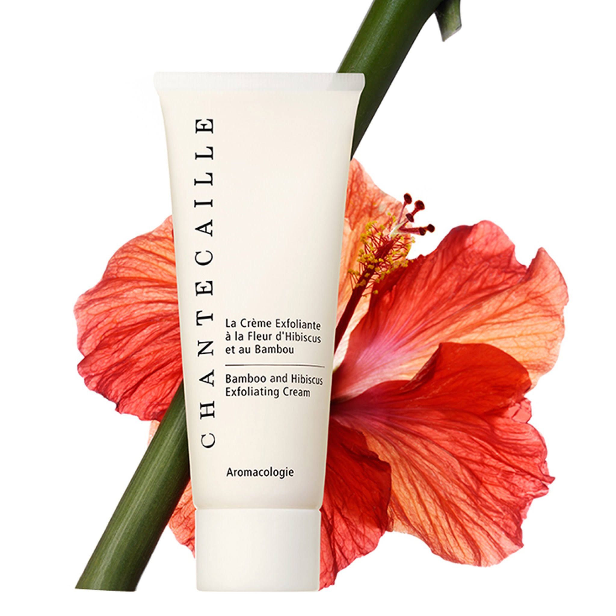 Chantecaille Bamboo and Hibiscus Exfoliating Cream 2.55oz (75ml)