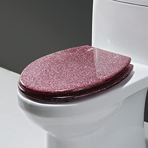 Thicken Toilet Seat, Slow Close Toilet Seat, Premium Hinge Easy Install