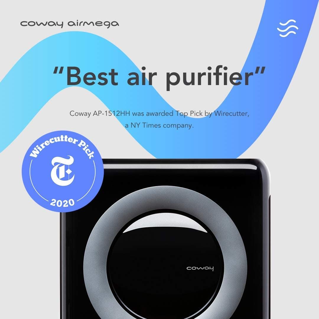 Air Purifier with True HEPA and Eco Mode | Black