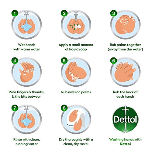 Dettol 洗手液(海洋矿物质)