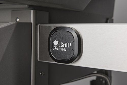 Weber Spirit II E-210 2-Burner Liquid Propane Grill, Black