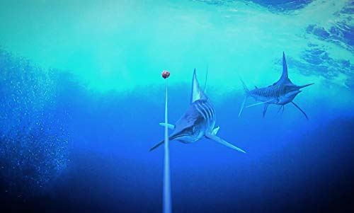 GoFish Cam Wireless Underwater Fishing Camera, Black