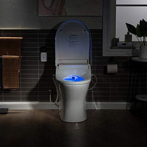Dual Flush Elongated Toilet with Advance Smart Washlet Bidet in White