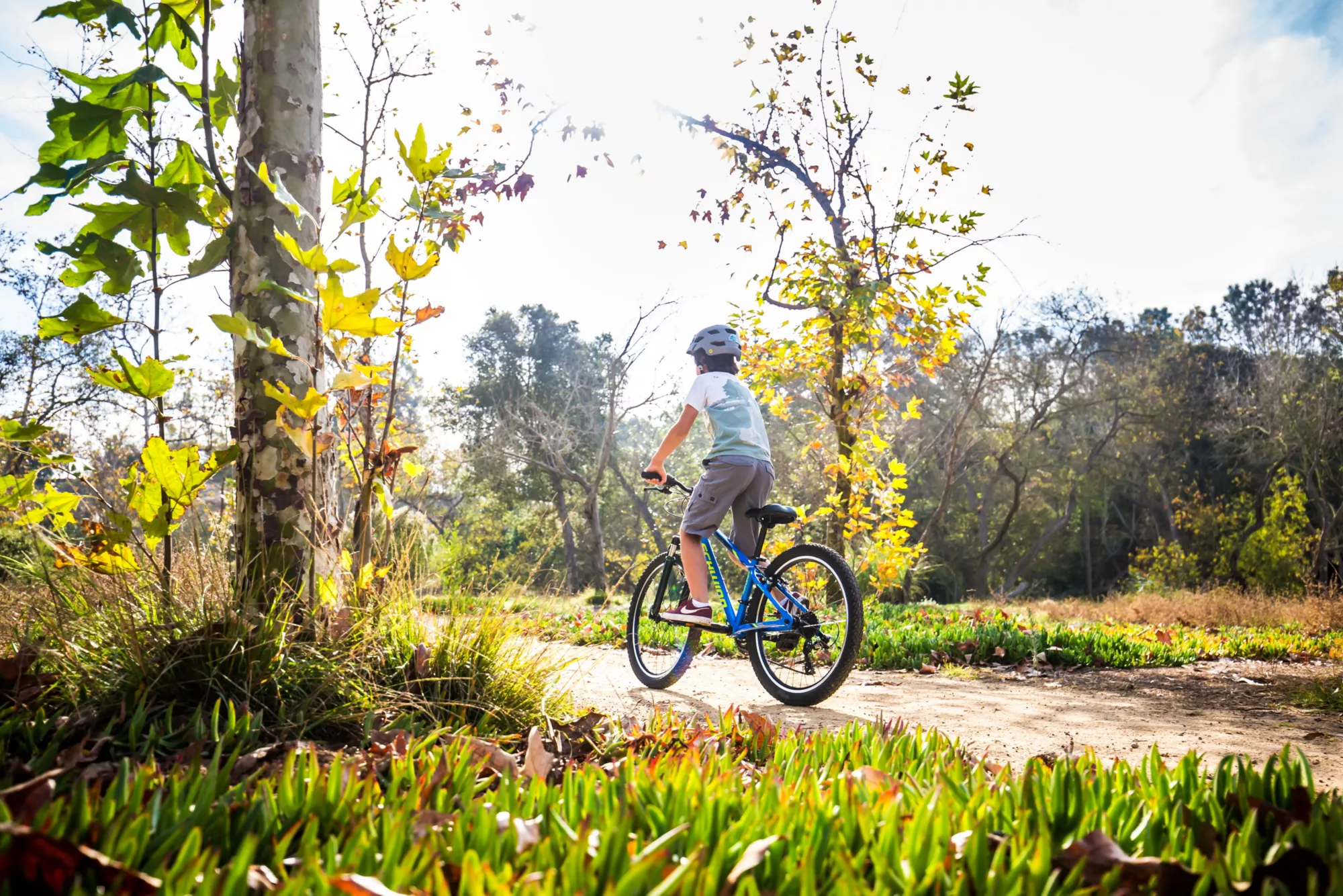 Schwinn Signature Boys' Thrasher 24'' Mountain Bike